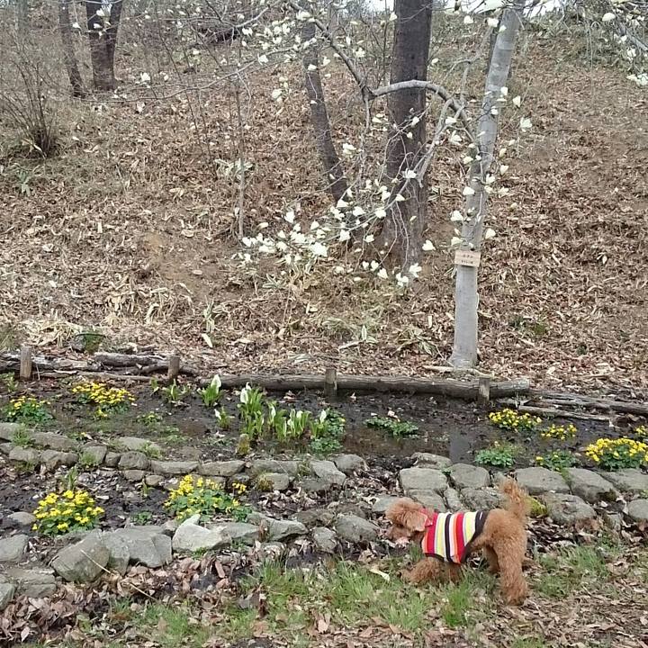 Aa5ead16 90d8 450e b3cc b2379c3aba69