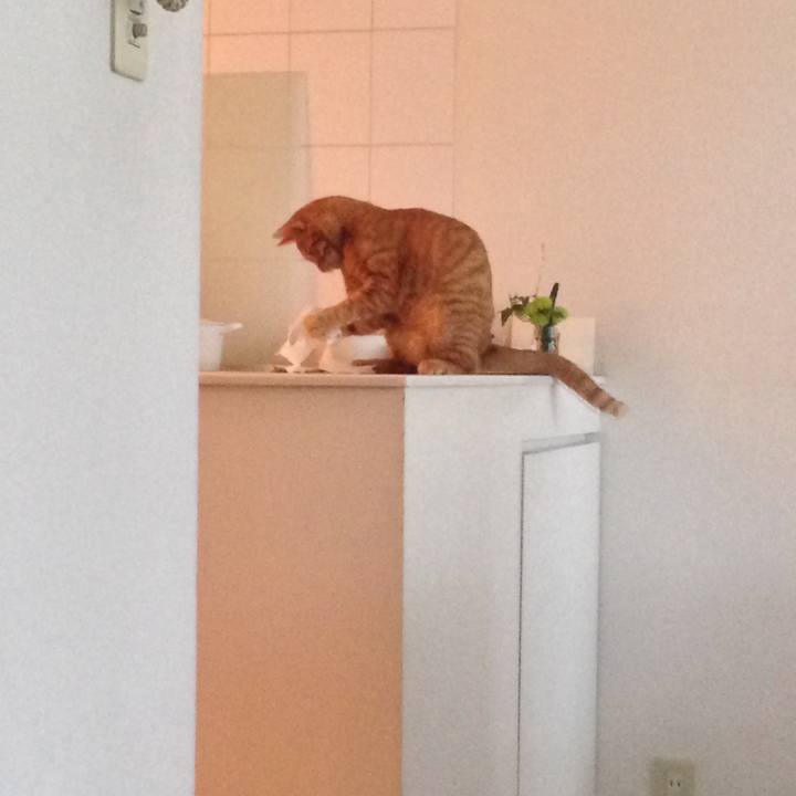 Aa5eadf7 25eb 406d 9dbd e0586ff68309