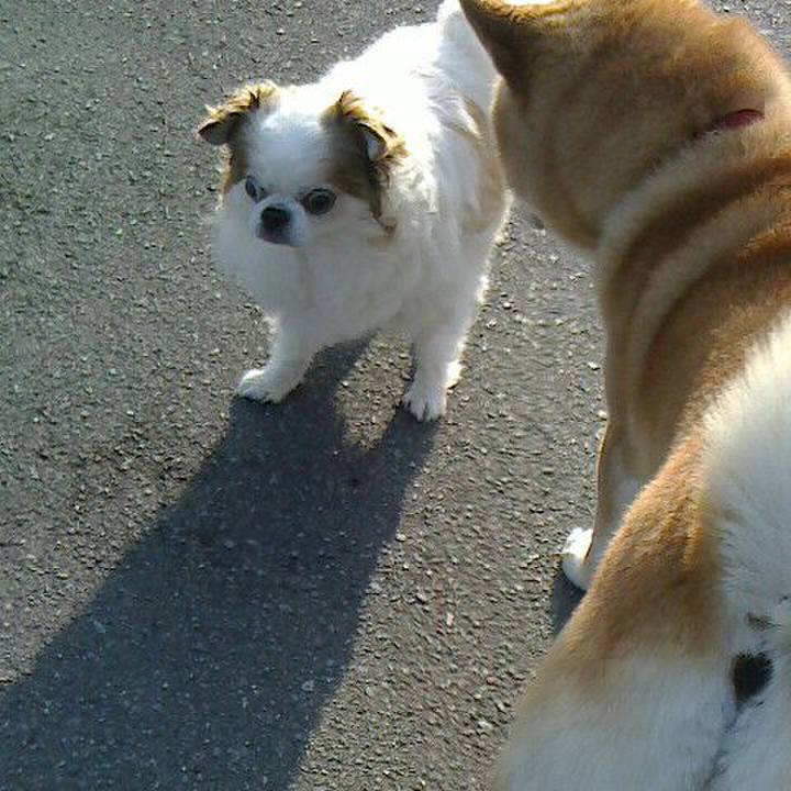 Aa603c2c abdc 4712 b7b7 7b1f7ef96ccc