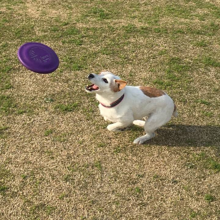 Aa604236 140e 4389 bf3f 29b78fa63267