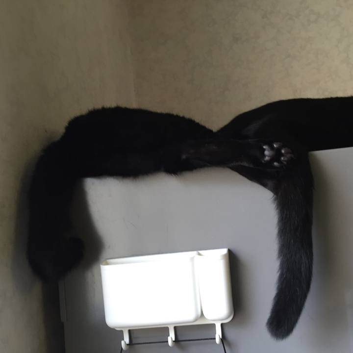 Aa606174 7c2b 469d b16c 6cf18a298e35