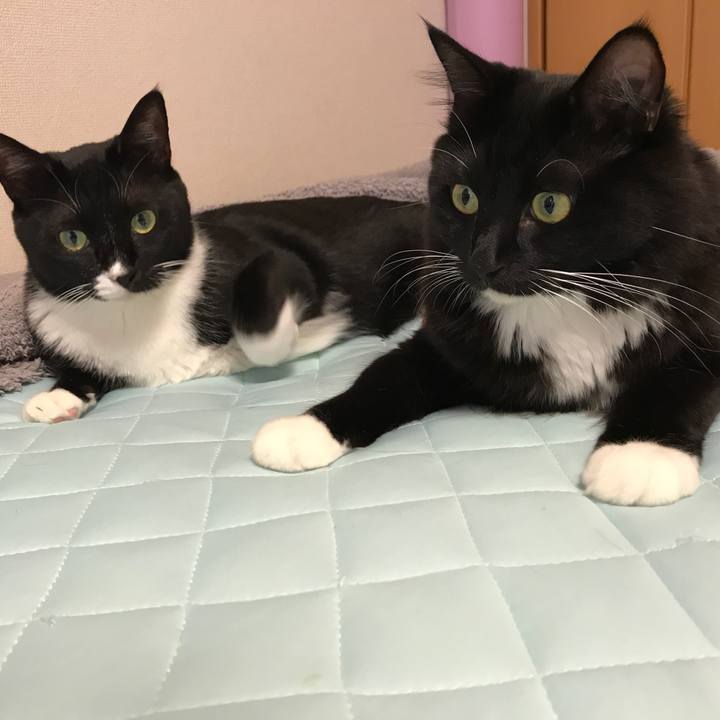 Aa611a7b 2cbc 402e 9433 a22624967ee6