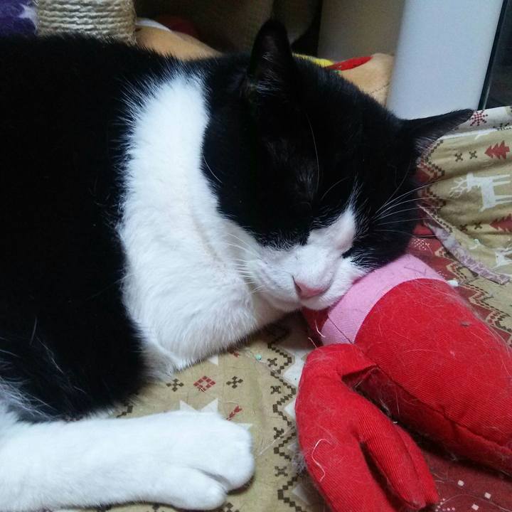 Aa61641b f75e 4fe8 9051 a9aa7d25ff8b