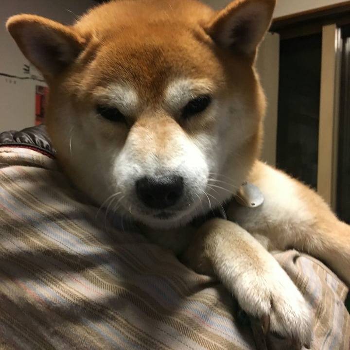 Aa61b57a d442 419c 94e2 50d7bca8892e