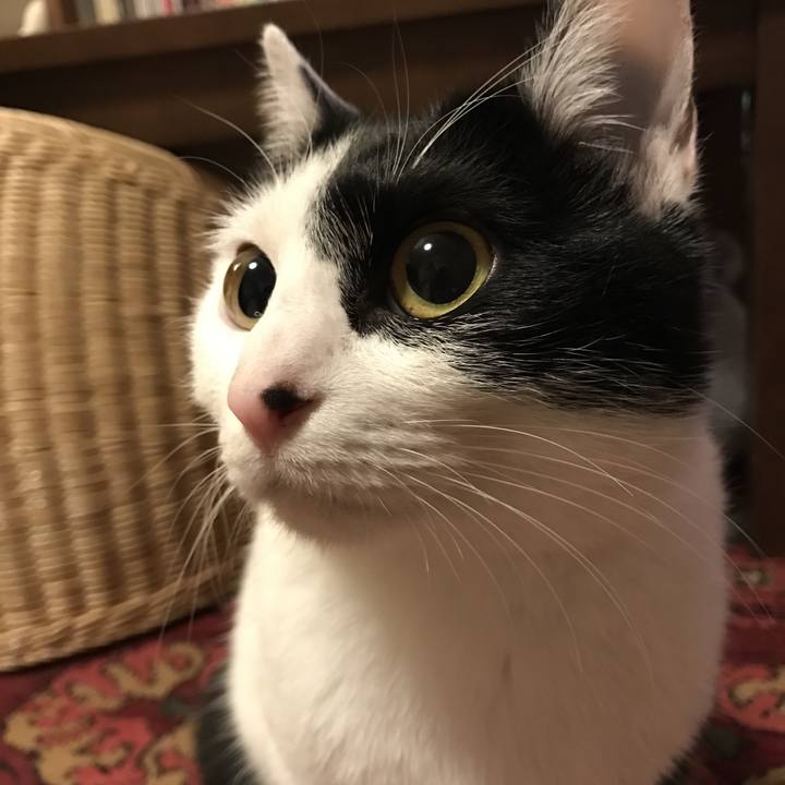 Aa6265e0 201e 4098 89eb 1e720ed953bb