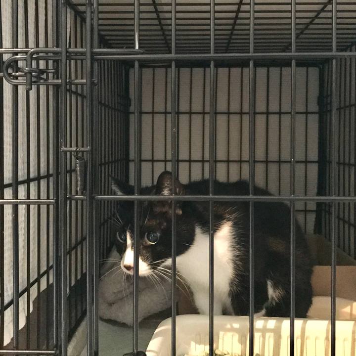 Aa629017 6d1f 4a1b a7ec bca449fd6807