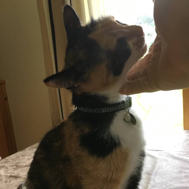 Aa629d3f 0166 4bfd 8d7f 6fcfbb61fb66