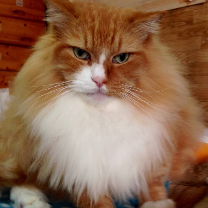 Aa630f30 ec67 43f9 b9d3 19a31c94ee10