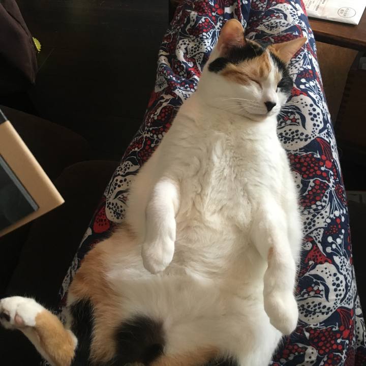 Aa63feb6 2626 4cc6 8b90 18de117e535c