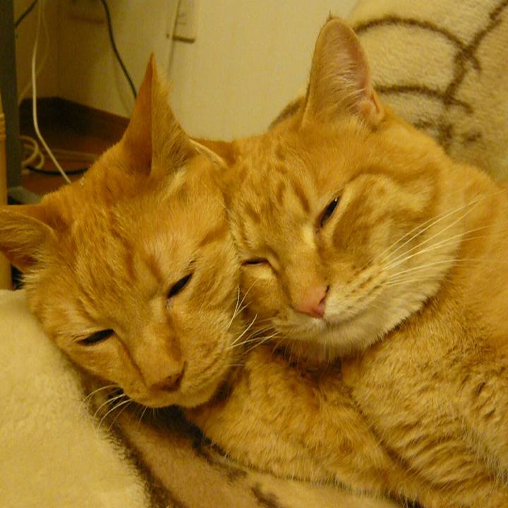 Aa6431e8 a8d0 410b b98b cbd908977801