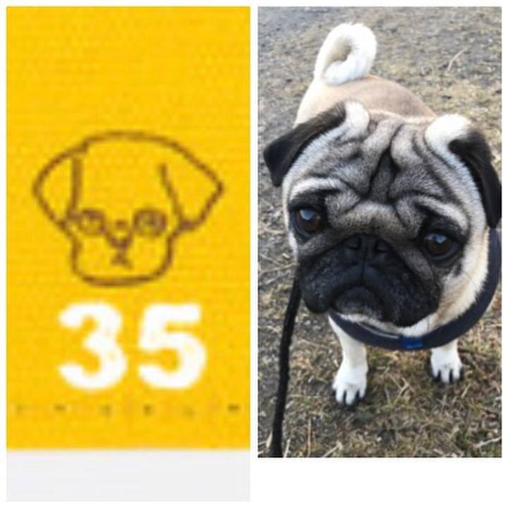 Aa6478b0 b280 4f85 ad46 515ad467a938