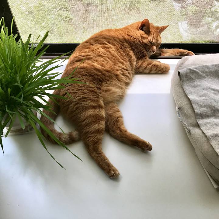 Aa65318f f986 4843 9c2b 1e752ac1e1c6