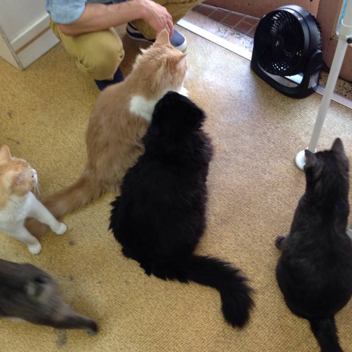 Aa654291 2935 4c67 b872 7d0c7125be23