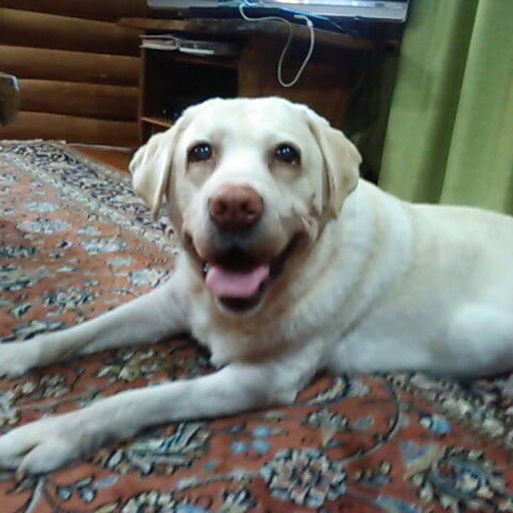 Aa65a029 c4b7 4e39 9e8e ac715ede1cb6