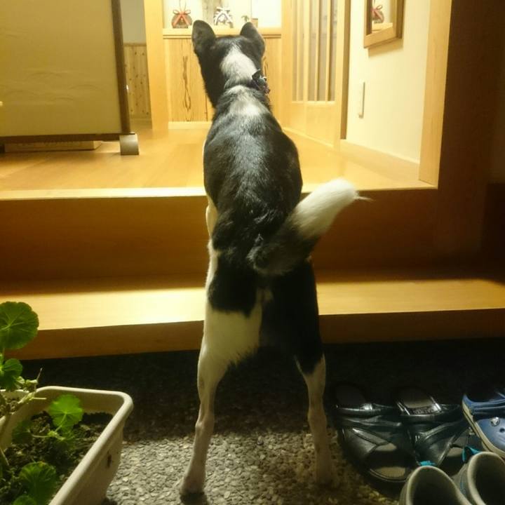 Aa65a7f3 d58a 4953 a0dc 1de36a0b8d89