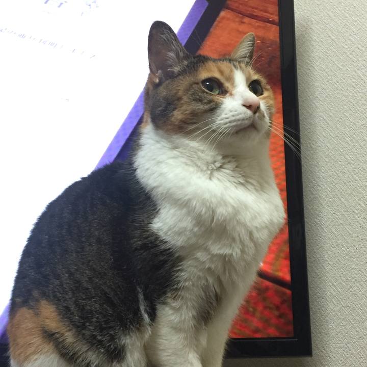 Aa65cecc fd50 4ff1 8905 bbd92dd16954