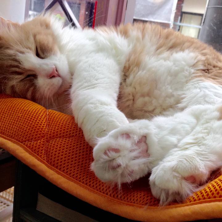 Aa660449 f34a 4570 9225 8b9820f0e379