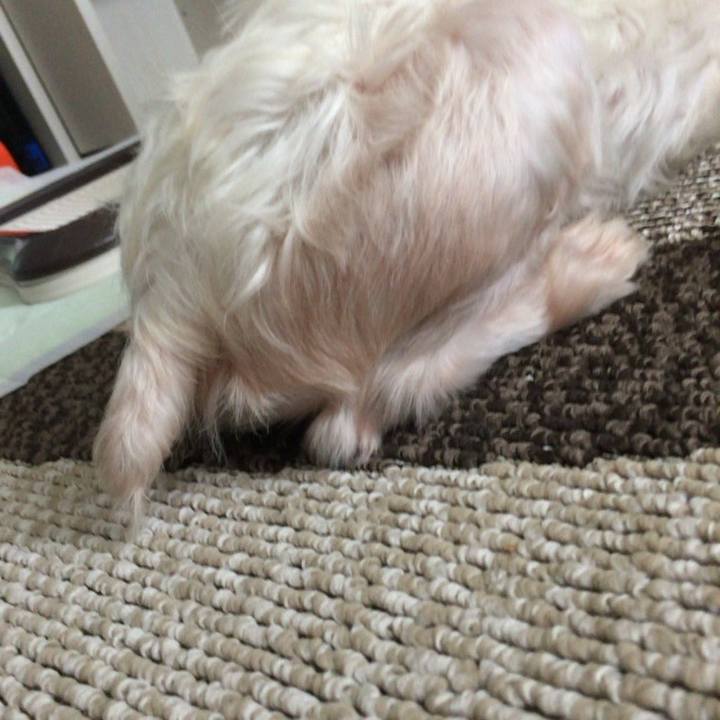 Aa662937 291b 457e 8cd4 ea775f9a8f8e