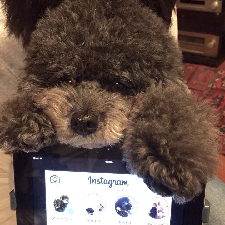 Aa66b2ab 5c0f 4fbe 8bc8 fc3a74693082