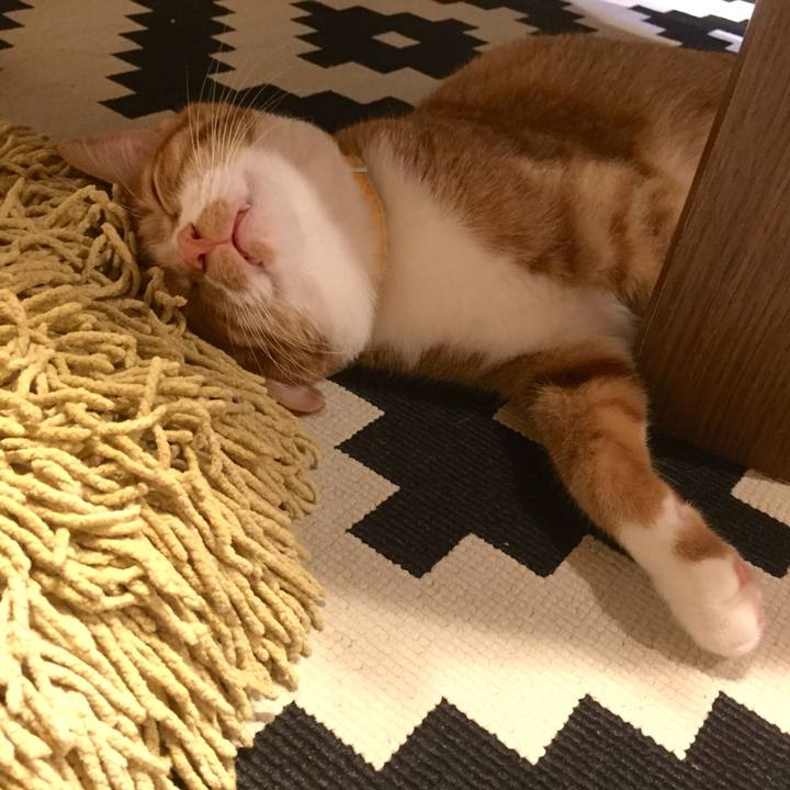 Aa672358 f55b 4490 93a3 e309699853d0