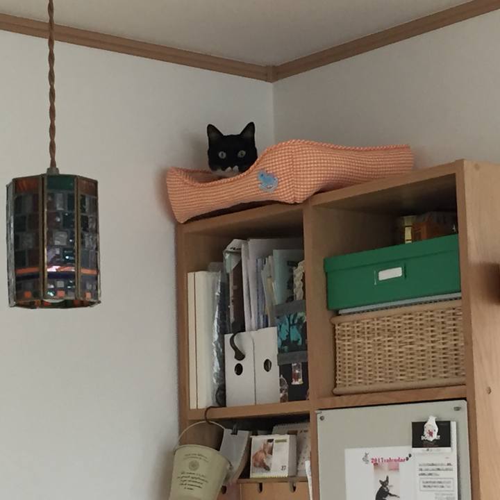 Aa67423d e44a 475e 9589 7dec5ff184ab