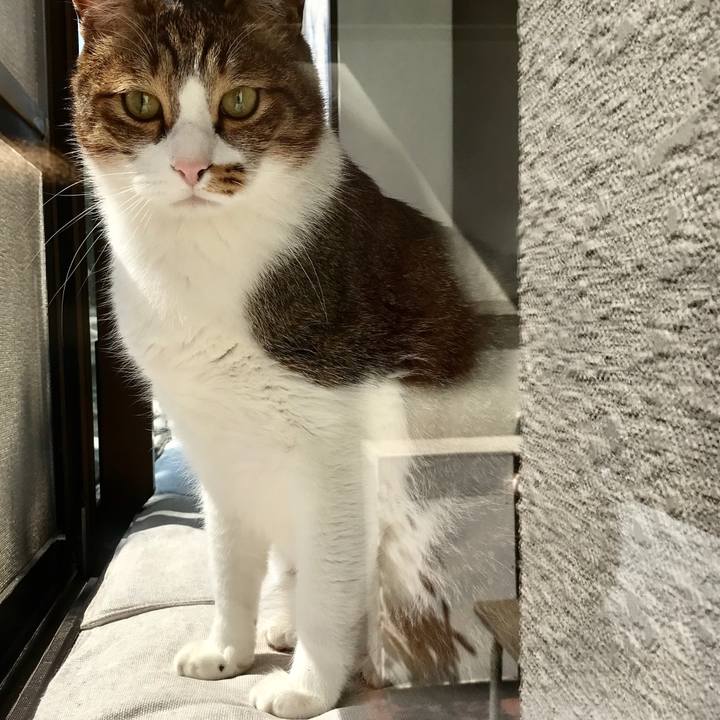 Aa67b73f c84c 4ab8 bcbc fa64f452e83a