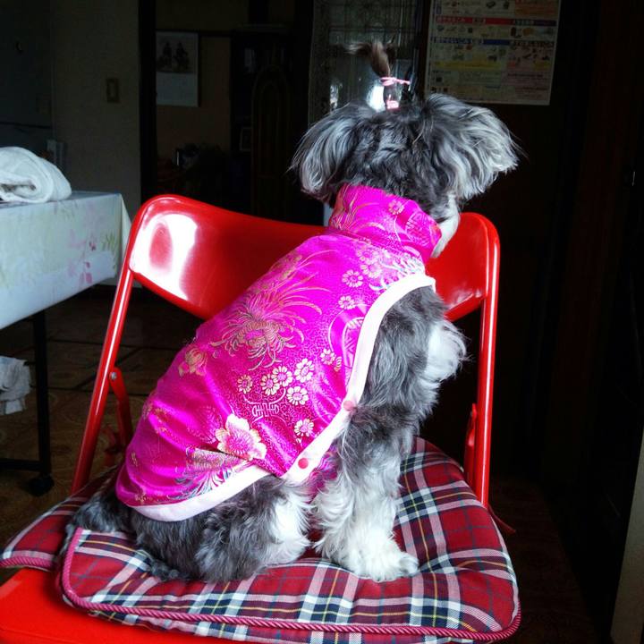 Aa67fa9c f9cd 455f 8c16 383fad575019