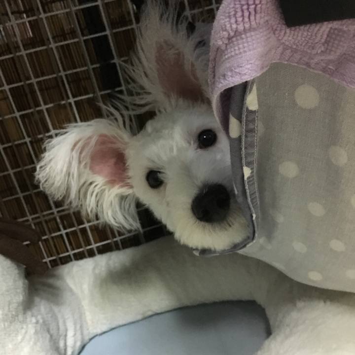 Aa6809cd 7241 415a b7cc 5747a1c3c47f