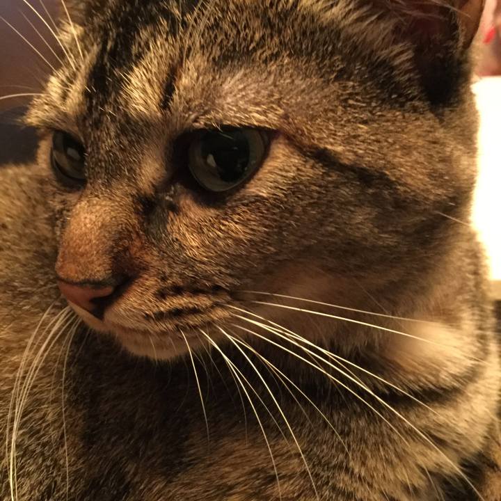 Aa682db9 f4f1 44ac aac5 5fe2e0dd0e93