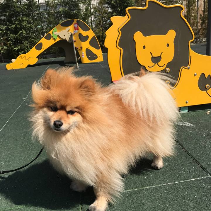 Aa68370e f272 4d0f ae68 f66d8d3cc00b