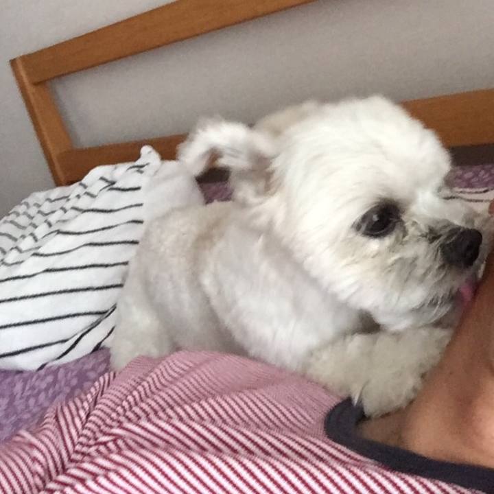 Aa695dfe 3835 456f a0e6 916c4ef16401