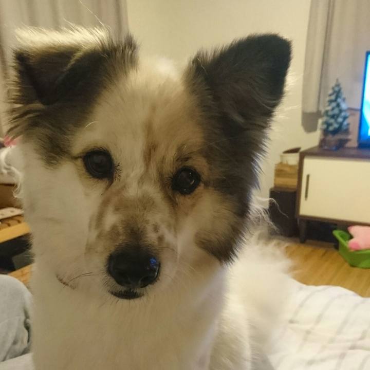 Aa69aa5a 9d86 4d3c 99ff 6d3ecf8028c9