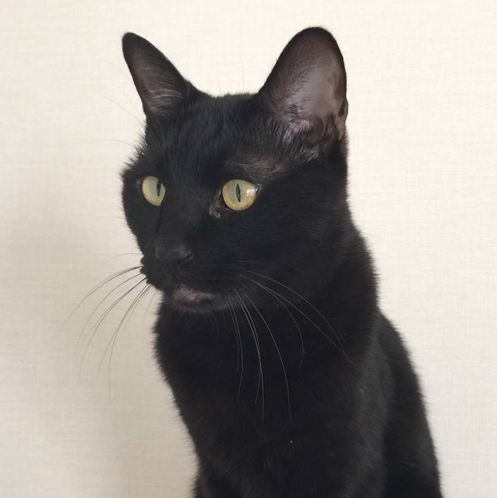 Aa69ce1c 9550 451a ab7f 04ec84a888cc