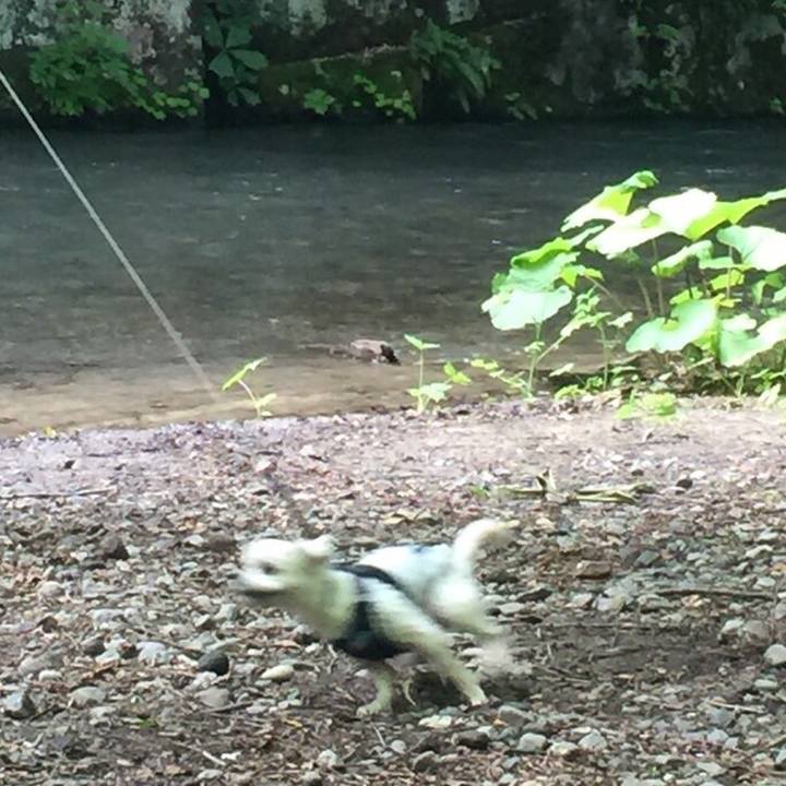 Aa69d802 3503 418d a06a 0db7465473b1