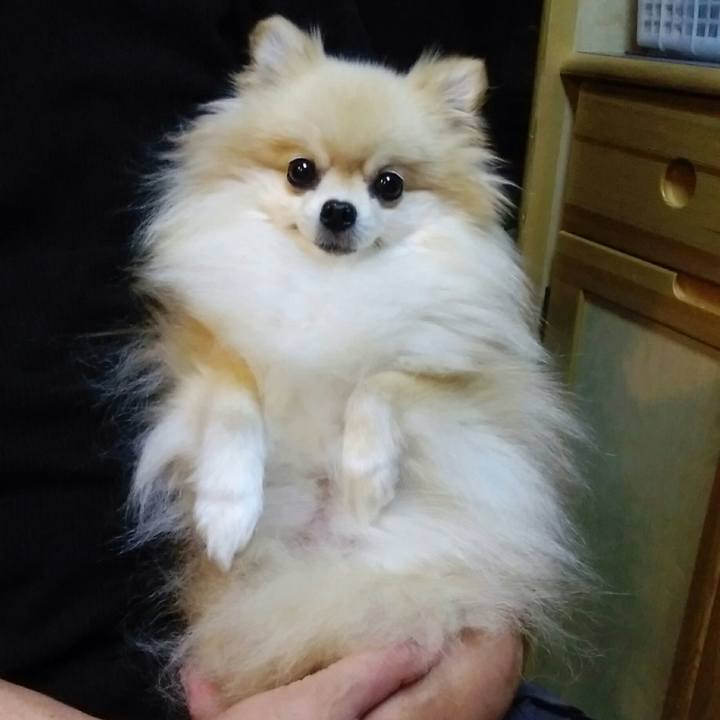 Aa6bd6e5 3315 4b09 88b6 82d8cf3ce984