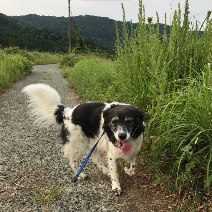 Aa6cbadb 392b 4a26 a7cf 4bdbe4540052