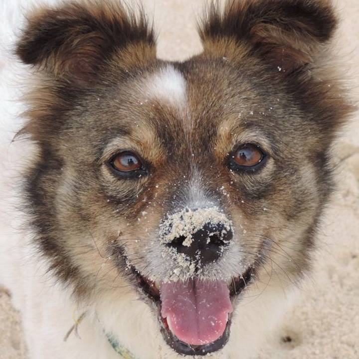 Aa6d6d3a 562a 4e40 a52f 97a1106f2818