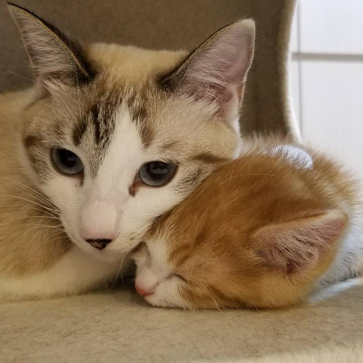 Aa6e3cde 5b7e 4b49 bcd8 d888b2360375