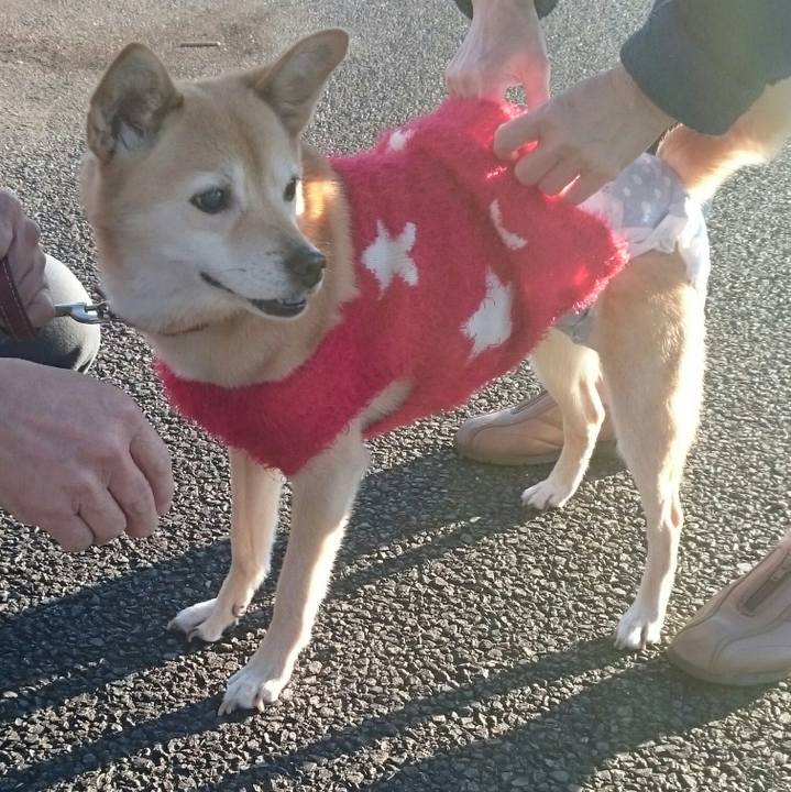 Aa6f8b58 83ab 4f6b bdf3 83d5808bf3e3