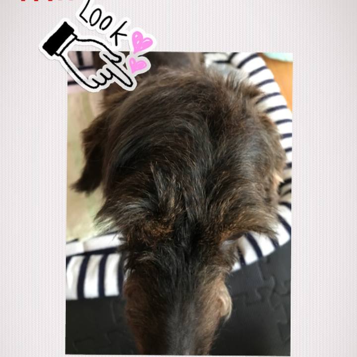 Aa6faaed d856 48e0 96fc 7f96bfba14d2