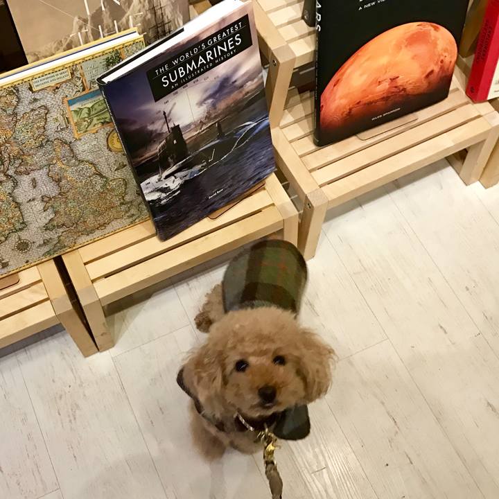 Aa6fb910 d748 4459 b278 3bd4cfef1386