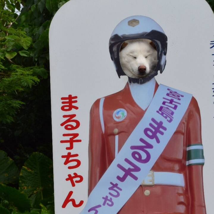 Aa70396e c53a 4bd5 92b5 5ad2214f6074