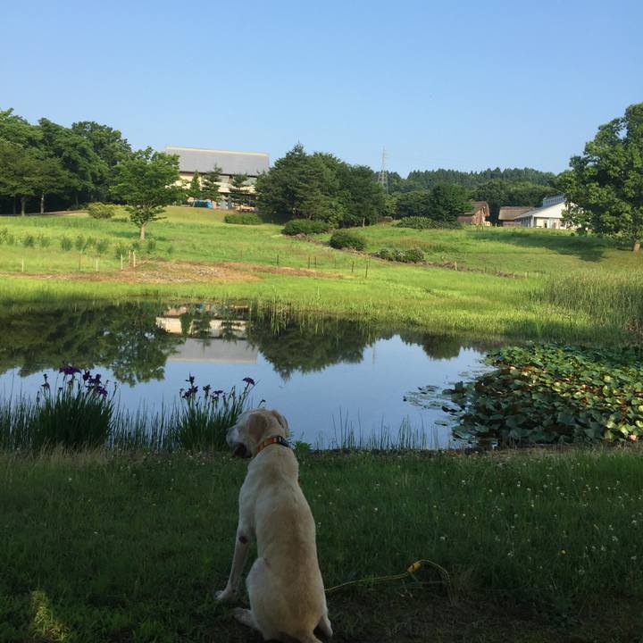 Aa704291 1258 413f b505 244f8b620d7c