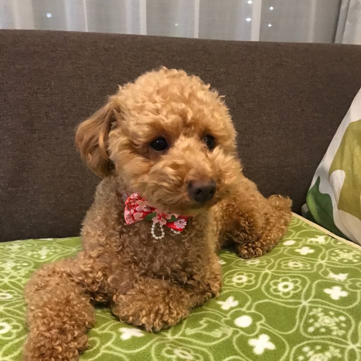 Aa706a50 ee26 4675 a244 e1c71bc589f8