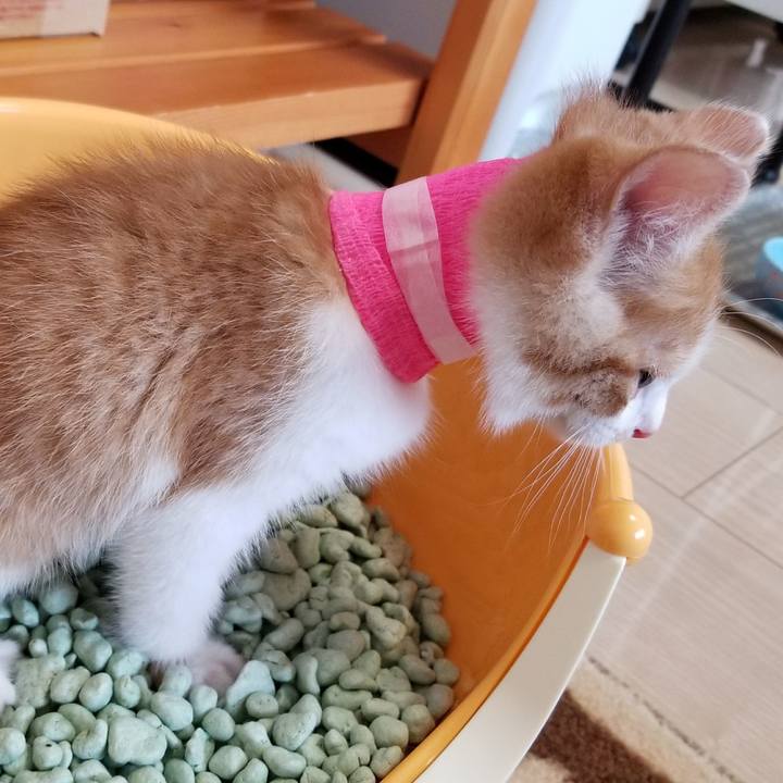 Aa71316b fe49 4a5f af71 d77ceae0ed2a