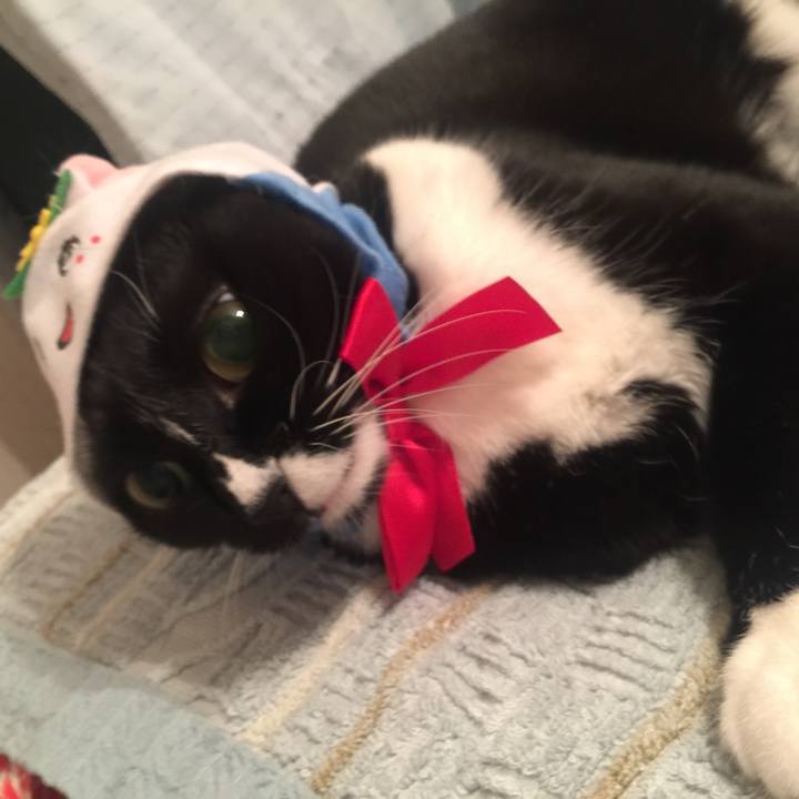 Aa716e14 48db 4c20 9bd5 55749c3d7a9d