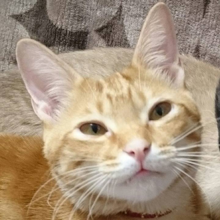 Aa71d380 ae8c 4fef 891b 2fcbbdaccee7