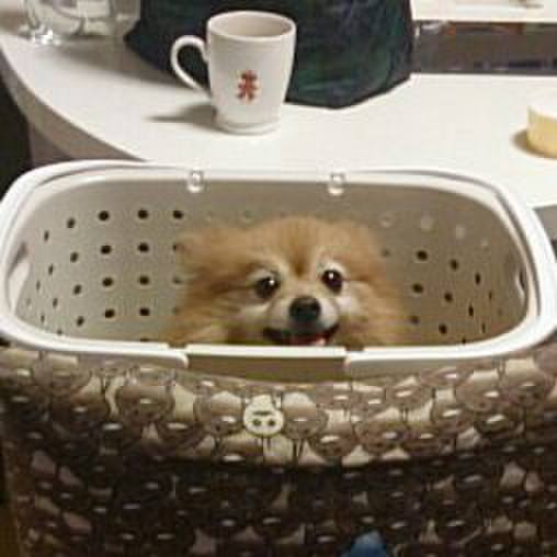 Aa72a402 9a62 4da6 9d58 f8c8a98d7e9a