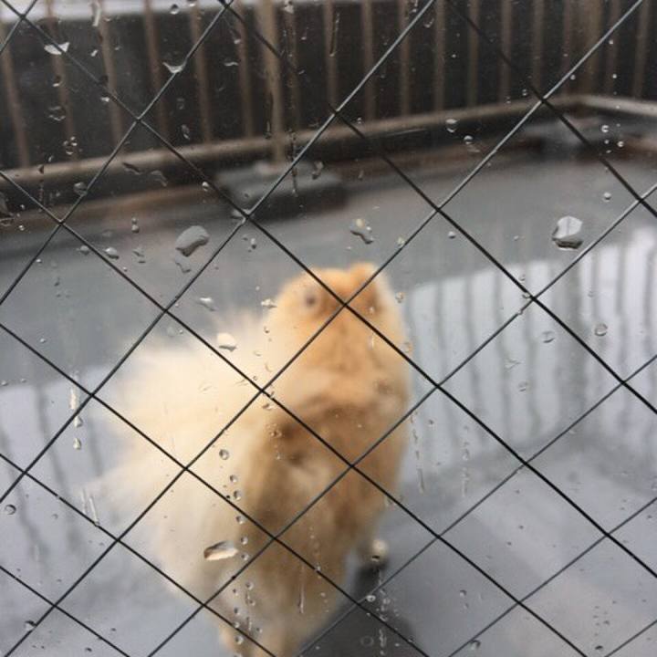 Aa72f362 f400 4b35 ac75 6baba66ba735