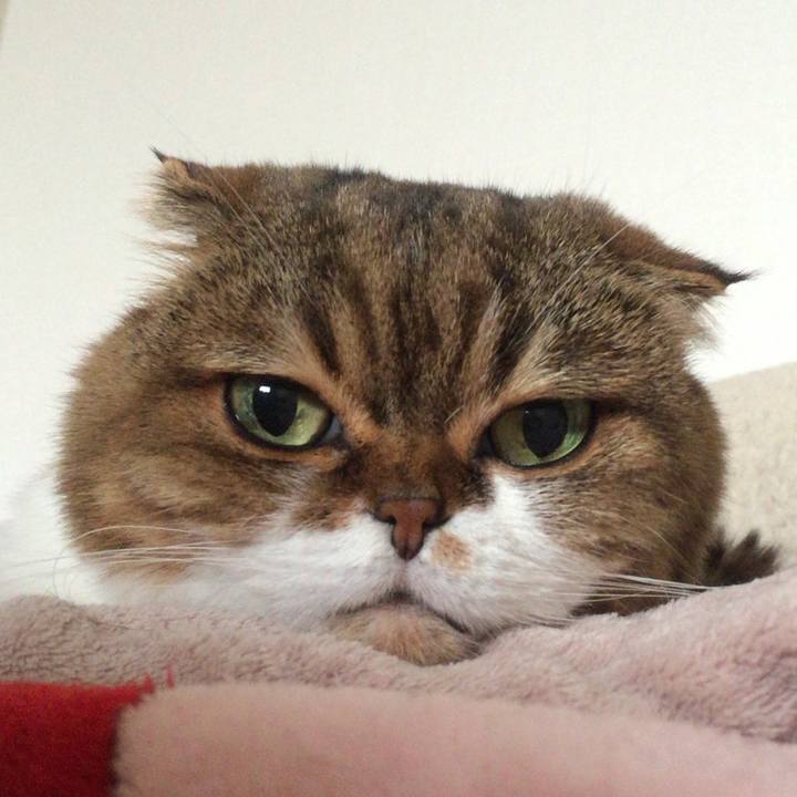 Aa72fee1 b05d 4df7 963b 1516260c91c1